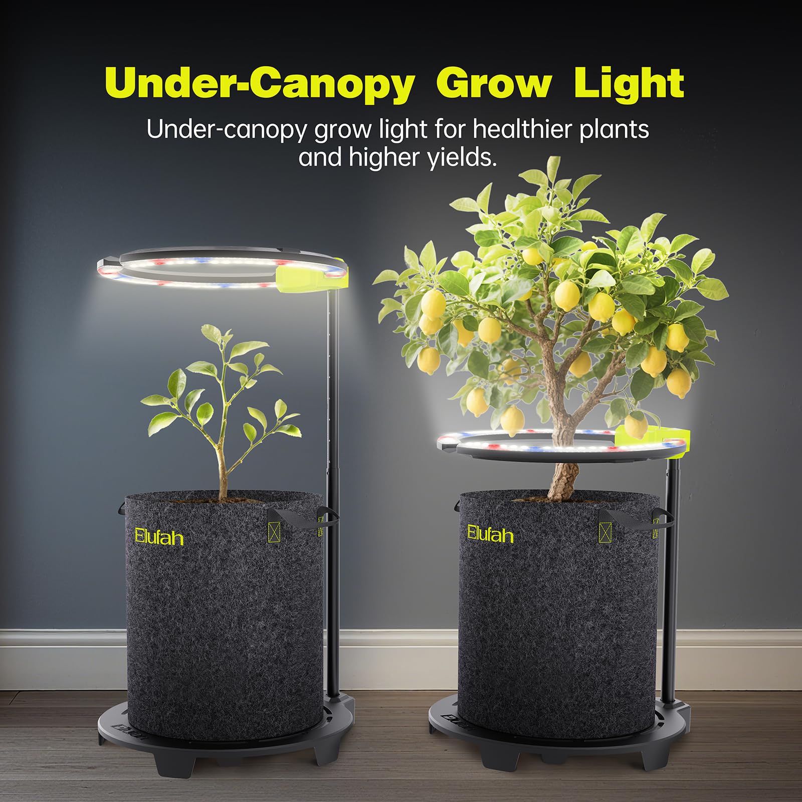grow light for rubber plant Saturn720 Under Canopy LED Grow Light 3 Ring Lights with 72W Adapter f – Elufah